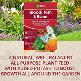 Vitax Blood Fish and Bone Fertiliser, 2.5kg - FitfitGarden