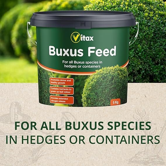Vitax Buxus Feed, 5kg Tub - FitfitGarden