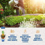Vitax Phostrogen All - Purpose Plant Food 80 Can - FitfitGarden