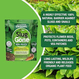 Vitax Slug Gone Wool Pellets 1L - FitfitGarden