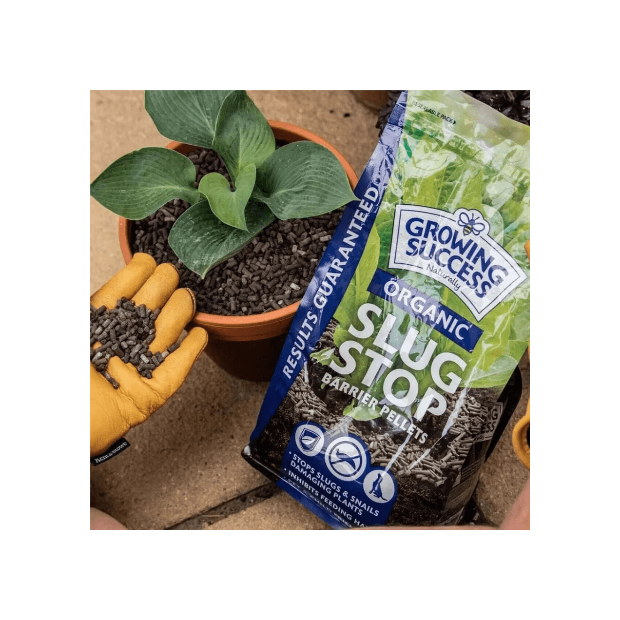 Westland Growing Success Organic Slug Stop Pellet Barrier 3.5L - FitfitGarden