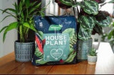 Westland Houseplant Potting Mix – Peat Free, 10L - FitfitGarden