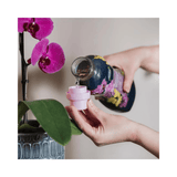 Westland Orchid Water Plant Feed Food With Essential Nutrients 720ml - FitfitGarden