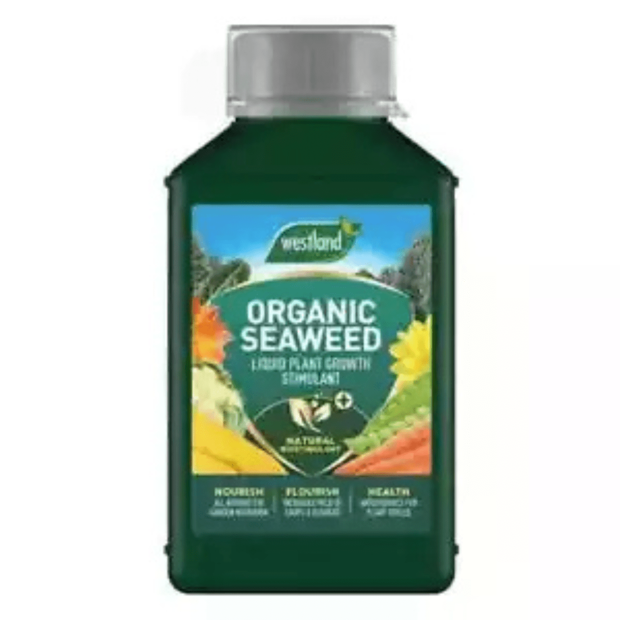 Westland Seaweed Specialist Liquid Plant Feed 1L - FitfitGarden