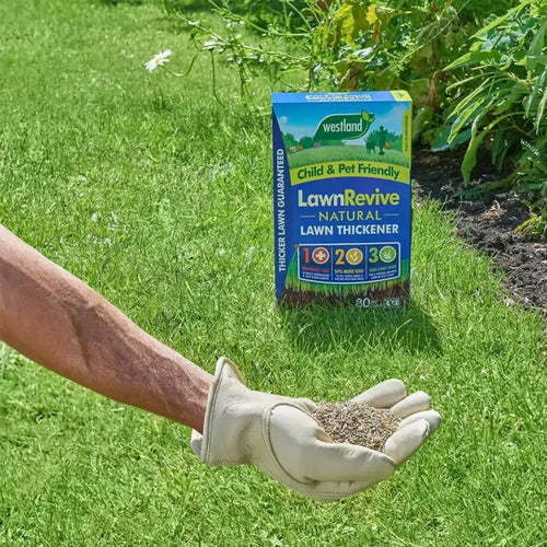 westland lawn revive for thin patch repair