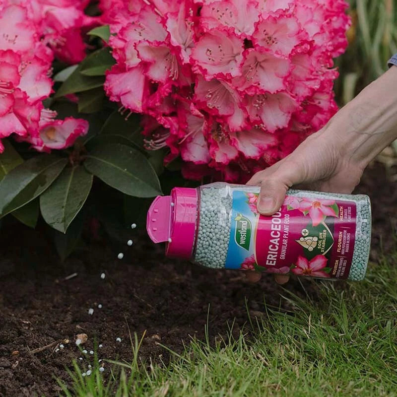 westland ericaceous soil ph stabiliser feed 900g FitfitGarden