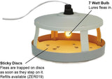 Zero In® Flea Killer Trap - FitfitGarden